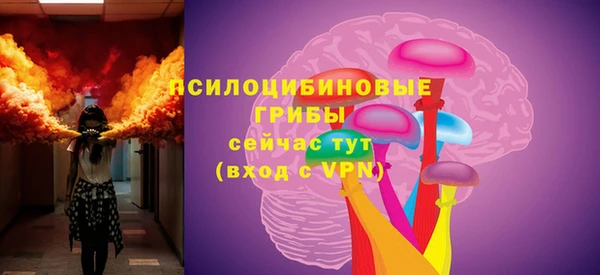 МДПВ Волоколамск