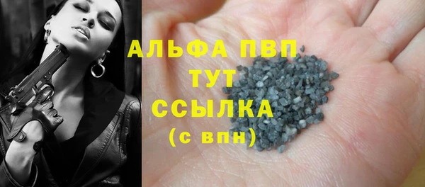 молекула духа Вязьма