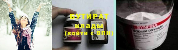индика Вяземский