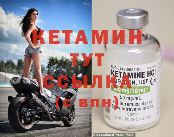 индика Вяземский