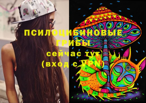 молекула духа Вязьма