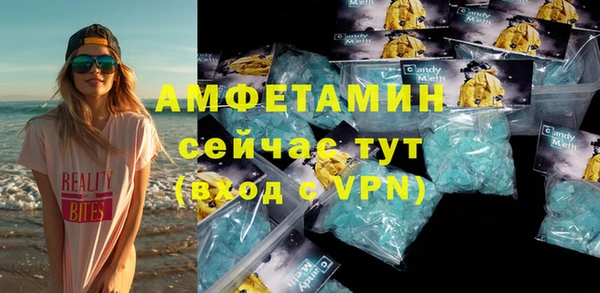 индика Вяземский