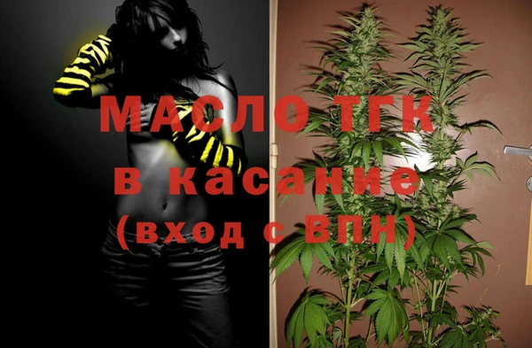 индика Вяземский