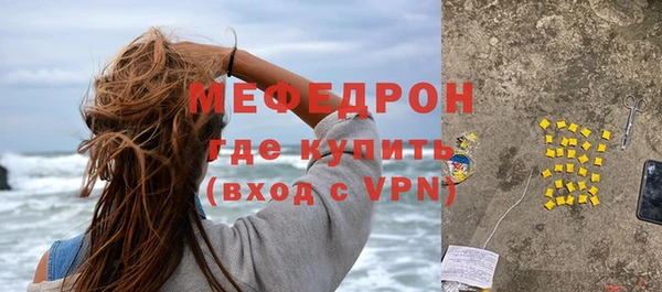индика Вяземский