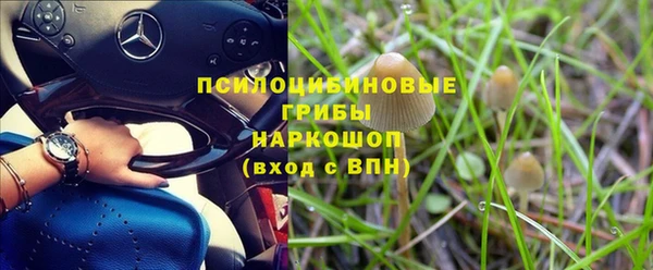 индика Вяземский