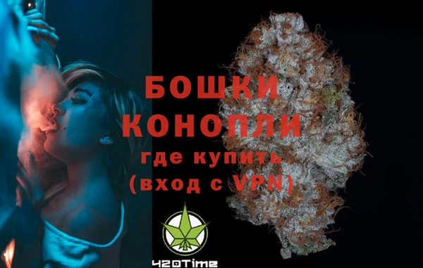 индика Вяземский