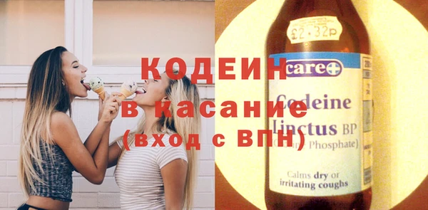 индика Вяземский