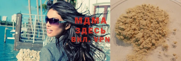индика Вяземский