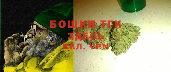 молекула духа Вязьма