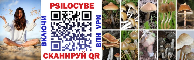 Галлюциногенные грибы Magic Shrooms  blacksprut вход  Юрга 